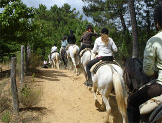 Horse Riding Excursion : Trip 1 or 2 hours