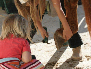 Kids and Horses