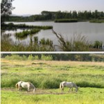 Estany de Sils – Sils Lake 1hr approx from Sitges