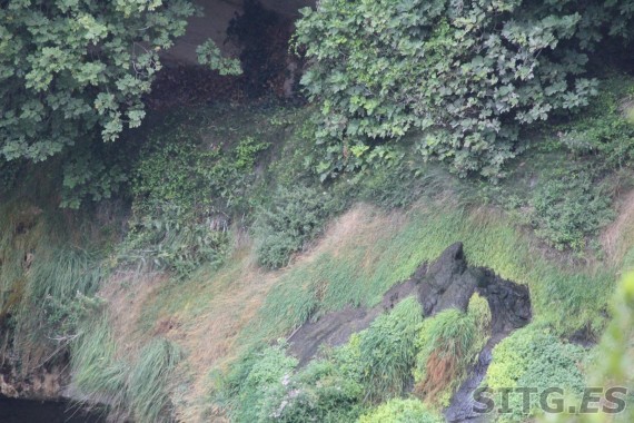 Sant Miquel del Fai Waterfall